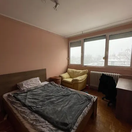 Cozy Arena *